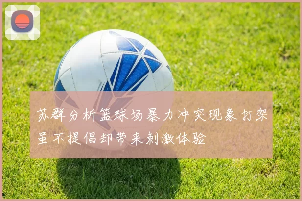 苏群分析篮球场暴力冲突现象打架虽不提倡却带来刺激体验